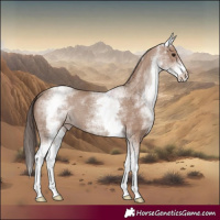 Horse Color:White Spotted Classic Champagne