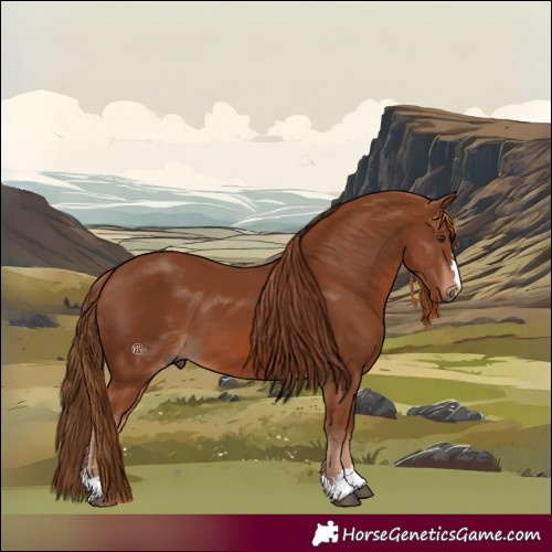 Horse Color:Chestnut 
