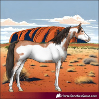 Horse Color:Bay Sabino Frame 