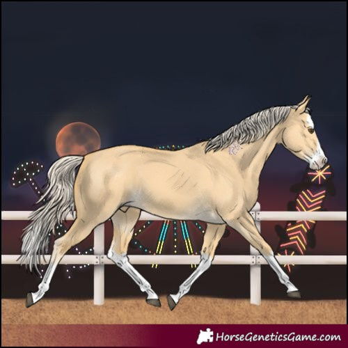 Horse Color:Palomino Dun Splash 