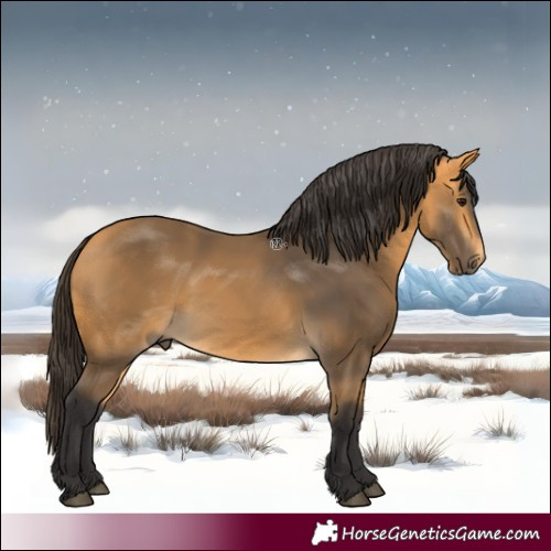 Horse Color:Buckskin 