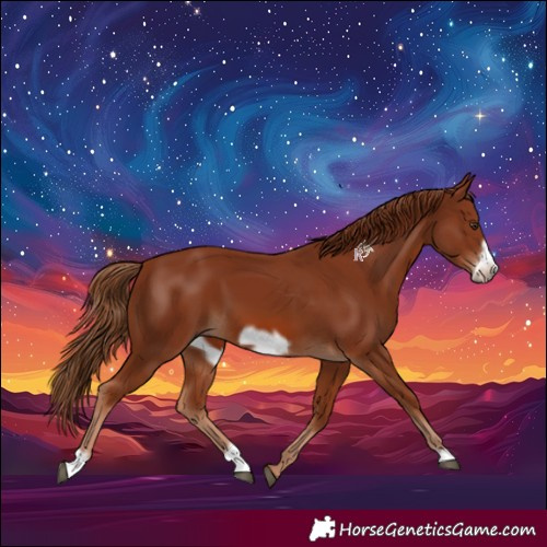 Horse Color:Chestnut Frame 