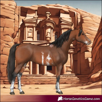 Horse Color:Bay Sabino 
