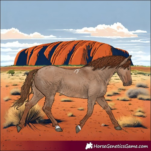 Horse Color:Red Dun 
