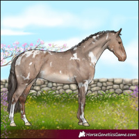 Horse Color:White Spotted Liver Red Dun Varnish 