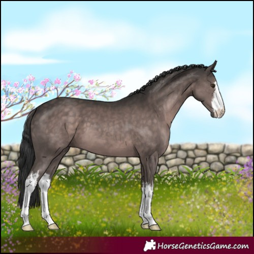 Horse Color:Platinum White Spotted Liver Chestnut 