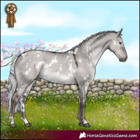 Horse Color:Platinum White Spotted Liver Red Dun Mushroom