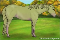 Horse Color:Watercolor Chestnut 