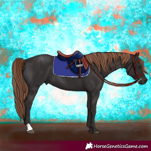 Horse Color:Liver Chestnut 