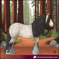 Horse Color:White Spotted Buckskin Roan 