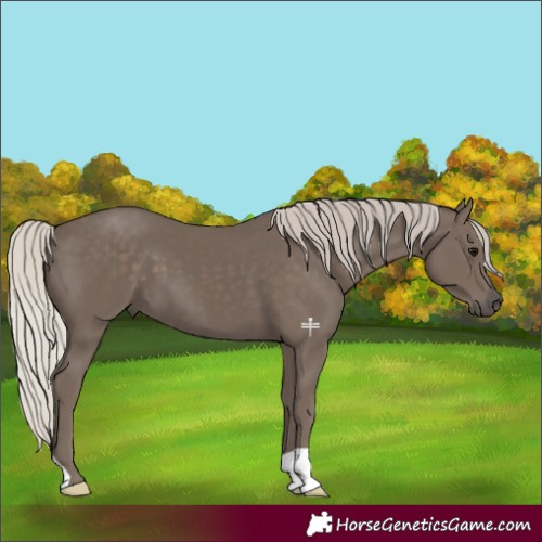 Horse Color:Silver Black 