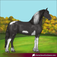 Horse Color:Smoky Black Tobiano Frame 