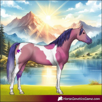 Horse Color:Watercolor Grullo Tobiano 