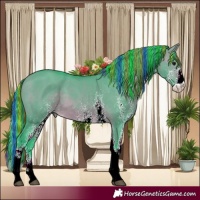 Horse Color:Painted Watercolor White Spotted Brown Dun 