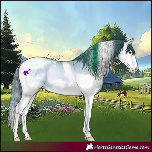 Horse Color:Watercolor Bay Onyx Splash Tobiano 