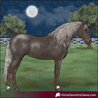 Horse Color:Silver Black 