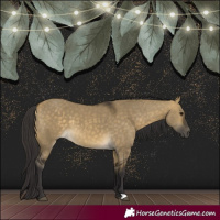 Horse Color:Buckskin Dun 