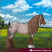 Horse Color:Liver Red Roan 