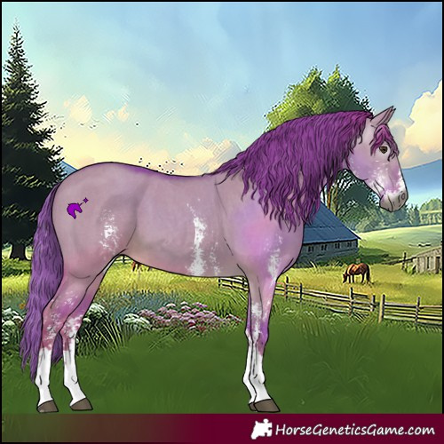 Horse Color:Gray Watercolor Red Dun Sabino