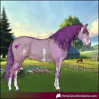 Horse Color:Gray Watercolor Red Dun Sabino 
