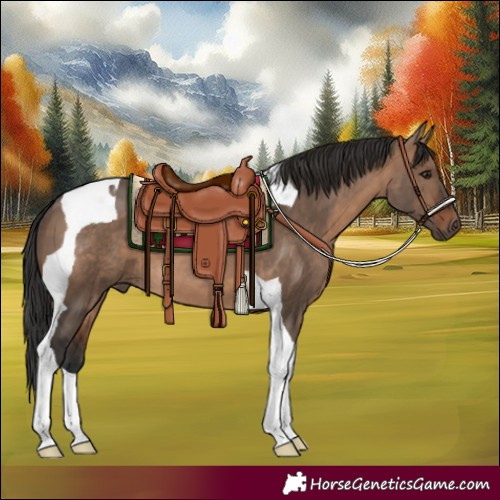 Horse Color:Brown Dun Tobiano