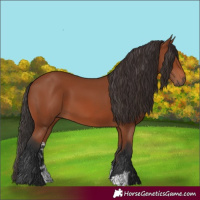 Horse Color:Bay Sabino Rabicano  and Bay Sabino Rabicano 