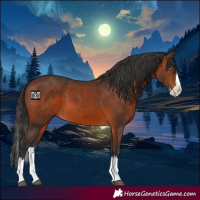 Horse Color:Brown Splash