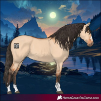 Horse Color:Bay Dun 