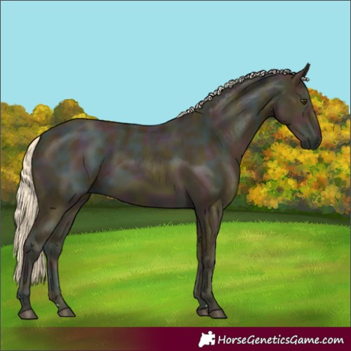 Horse Color:Midnight Palomino Ice 