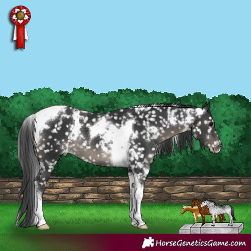 Horse Color:White Spotted Black Tobiano Snowflake Varnish Rabicano 