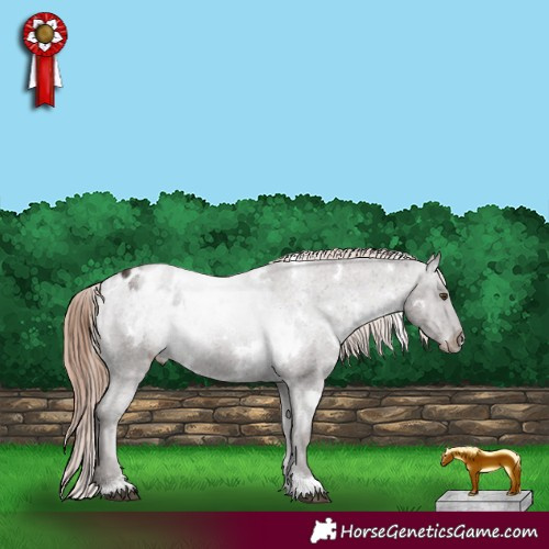 Horse Color:White Spotted Liver Chestnut Appaloosa 