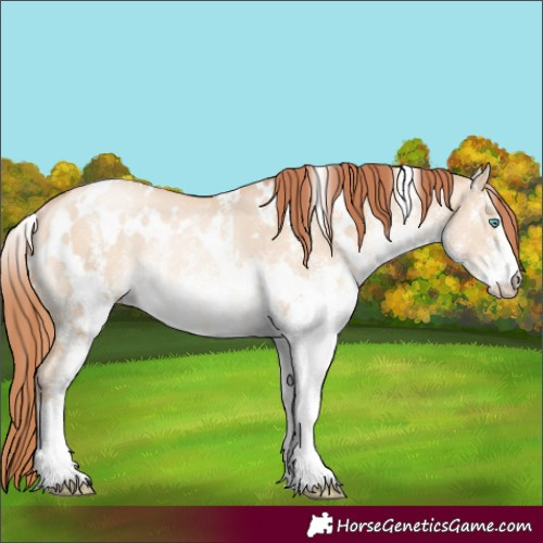 Horse Color:White Spotted Sable Champagne Pearl Dun Rabicano