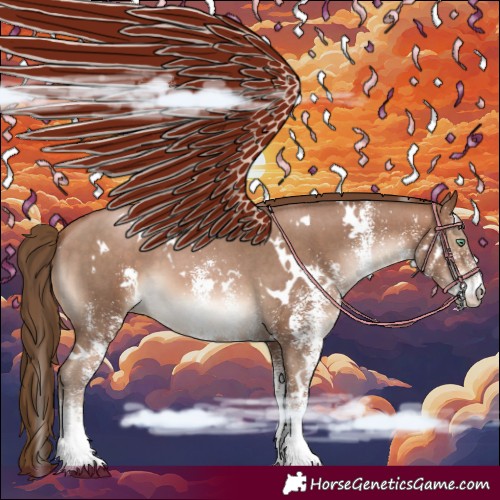 Horse Color:White Spotted Brown Pearl 