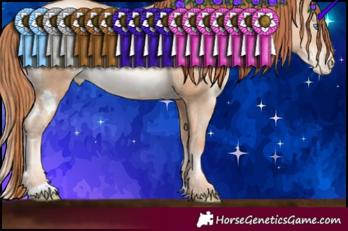 Horse Color:White Spotted Sable Champagne Pearl Rabicano 