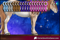 Horse Color:White Spotted Sable Champagne Pearl Rabicano 