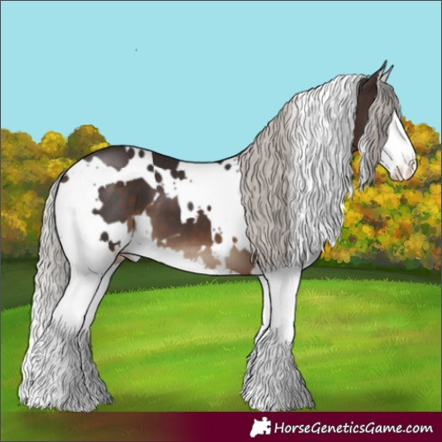 Horse Color:White Spotted Silver Brown Splash 