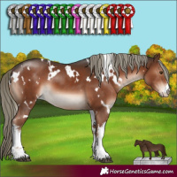 Horse Color:White Spotted Liver Chestnut Mushroom