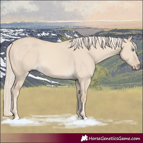 Horse Color:Cremello Dun 