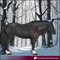 Horse Color:Black Tobiano 