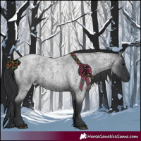 Horse Color:Blue Roan 