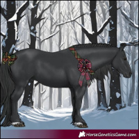 Horse Color:Black 