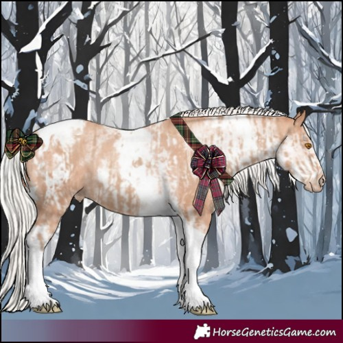 Horse Color:Silver Classic Champagne Tobiano Appaloosa Rabicano and White Spotted Silver Classic Champagne Tobiano Appaloosa Rabicano