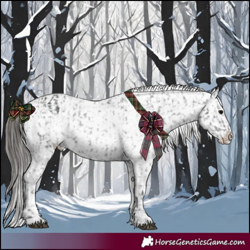 Horse Color:Black Blanket  and White Spotted Black Blanket 