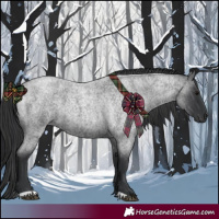 Horse Color:Blue Roan 