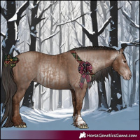 Horse Color:Classic Champagne Rabicano and Gray Classic Champagne Rabicano