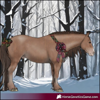 Horse Color:Classic Champagne Rabicano  and Classic Champagne Splash Rabicano 