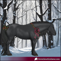 Horse Color:Black 