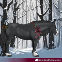 Horse Color:Black 