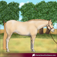 Horse Color:Smoky Black Pearl 