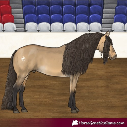 Horse Color:Buckskin Dun 
